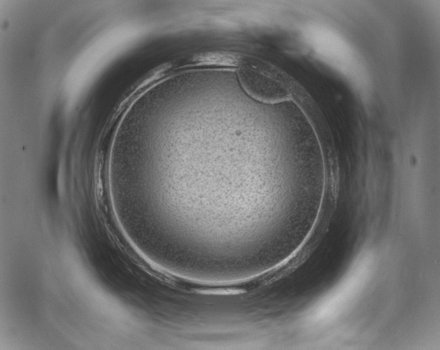 X0000064751487200602131214