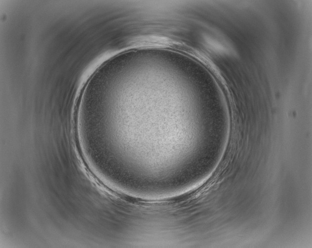 X0000064751488200602131214