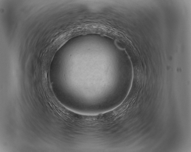 X0000064751489200602131213