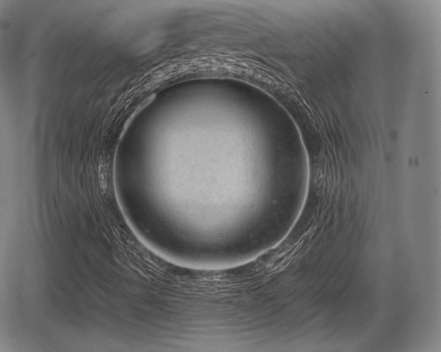 X0000064751490200602131213