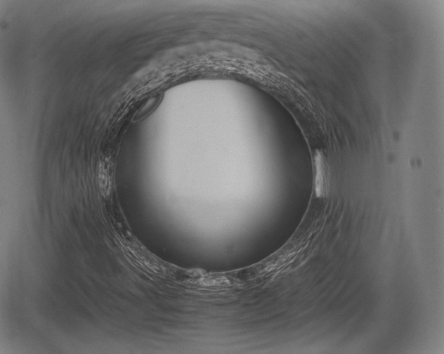 X0000064751491200602131213