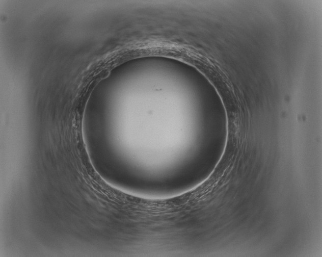 X0000064751493200602131213