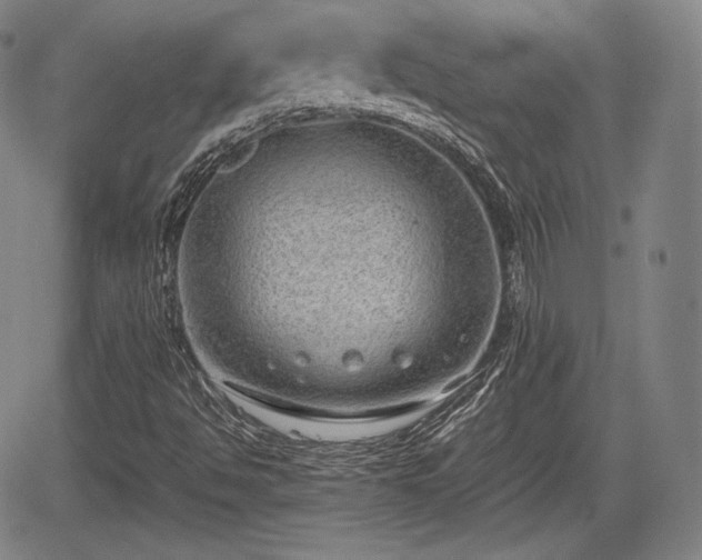 X0000064751494200602131213