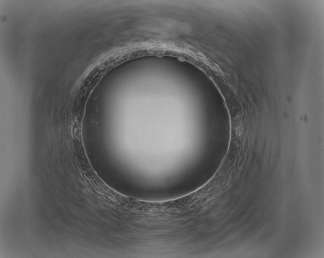 X0000064751495200602131213