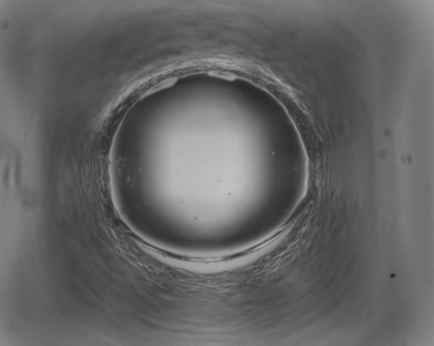 X0000064751496200602131213