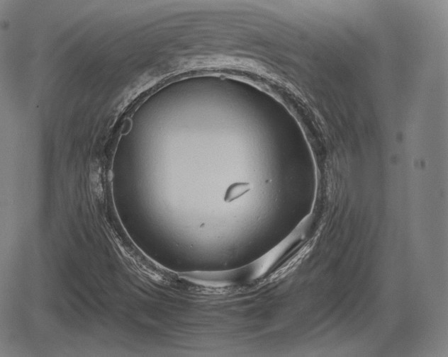 X0000064751497200602131213