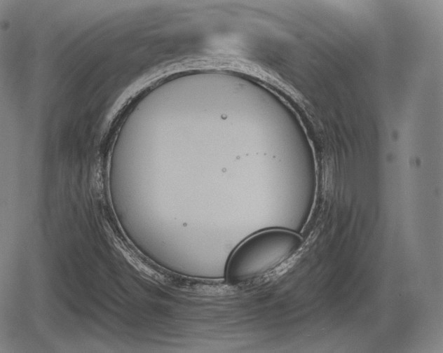 X0000064751498200602131213