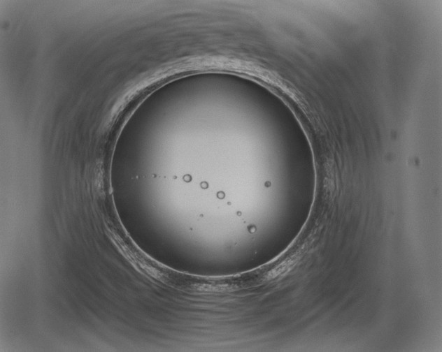 X0000064751499200602131213