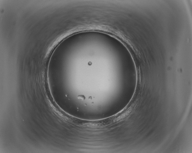 X0000064751500200602131213