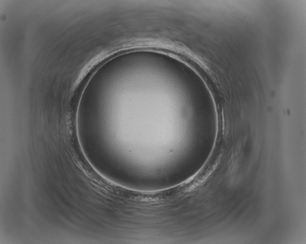 X0000064751501200602131213