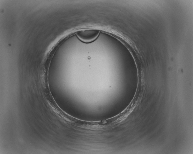 X0000064751502200602131213