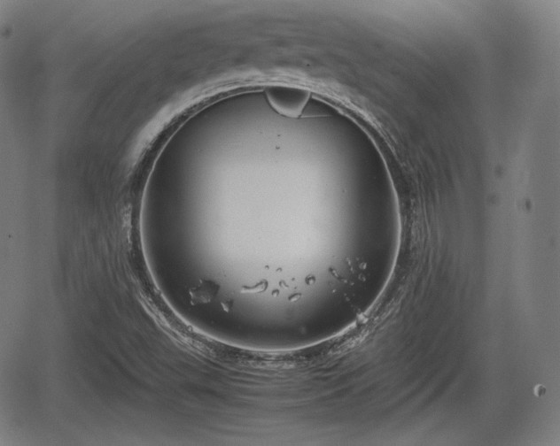 X0000064751503200602131213