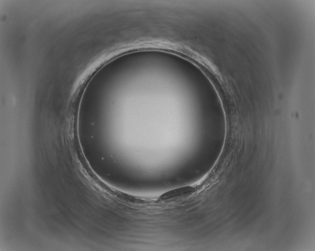 X0000064751504200602131213