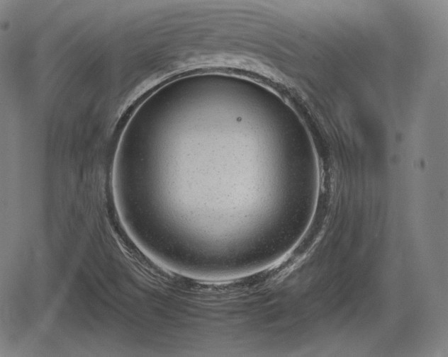 X0000064751505200602131213