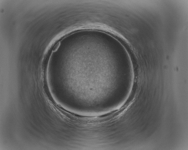 X0000064751506200602131213