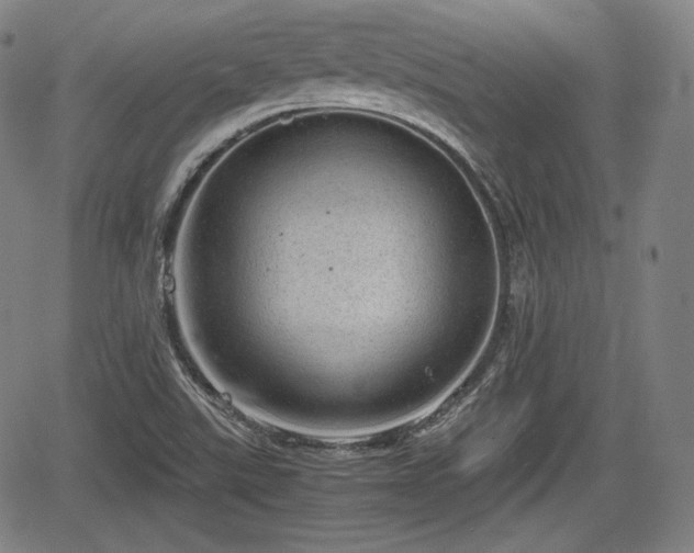 X0000064751507200602131213