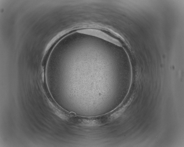 X0000064751509200602131213