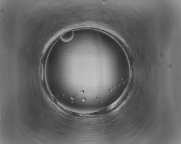 X0000064751510200602131213