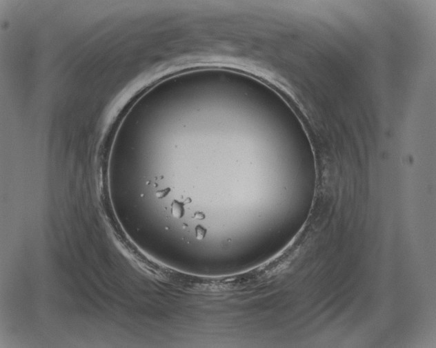 X0000064751511200602131213