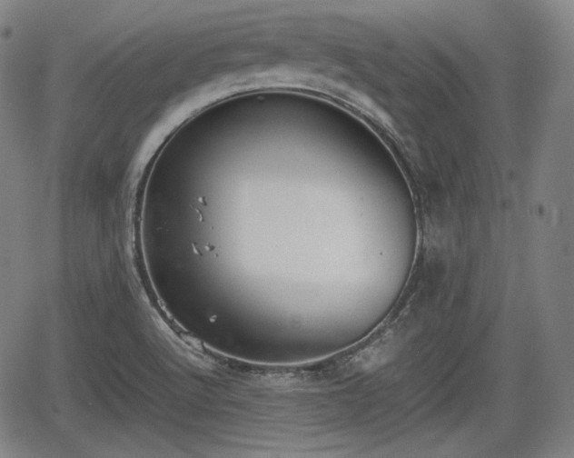 X0000064751512200602131213