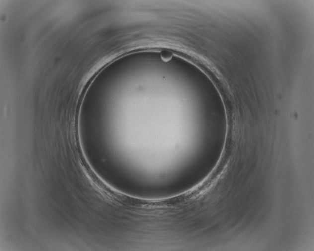 X0000064751513200602131213