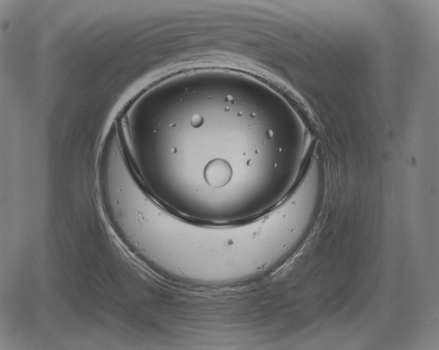 X0000064751514200602131213