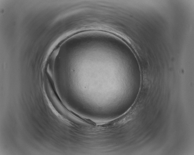 X0000064751515200602131213