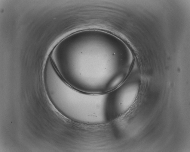 X0000064751516200602131213