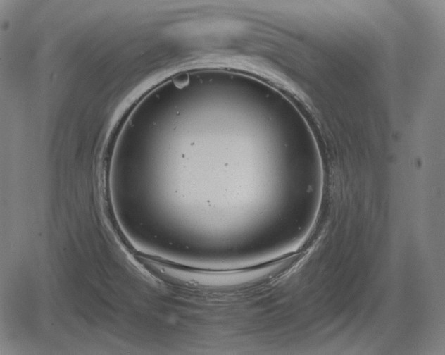 X0000064751517200602131214