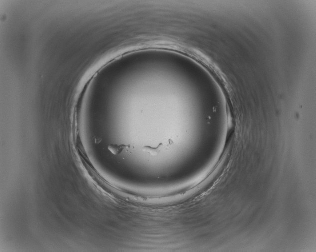 X0000064751520200602131214