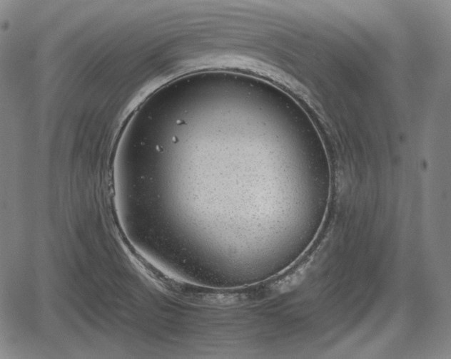 X0000064751521200602131214