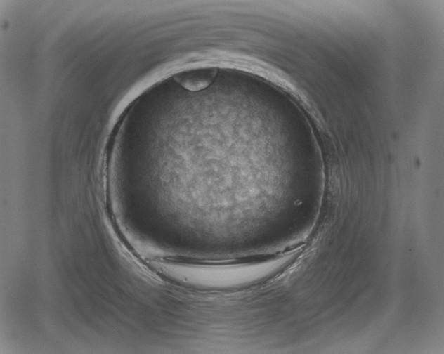 X0000064751522200602131214