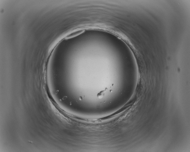 X0000064751524200602131214