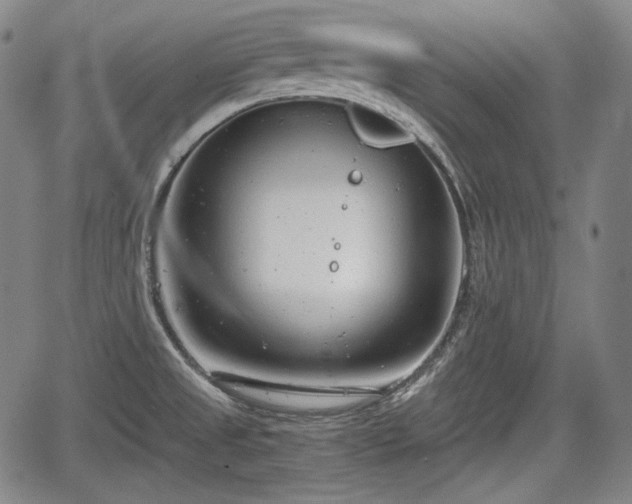 X0000064751525200602131214