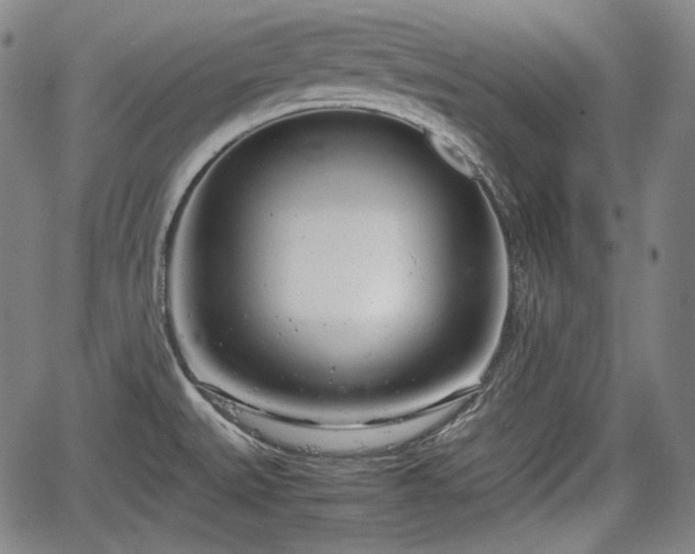 X0000064751527200602131214