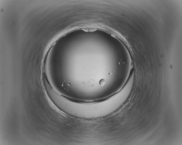 X0000064751528200602131214