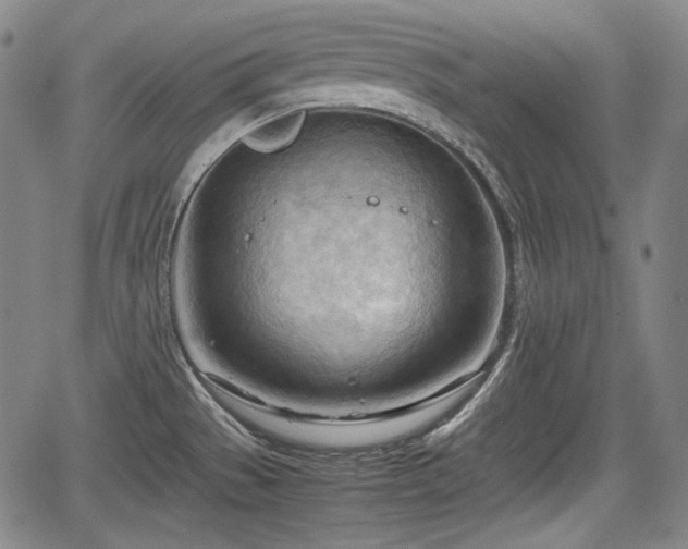 X0000064751529200602131214