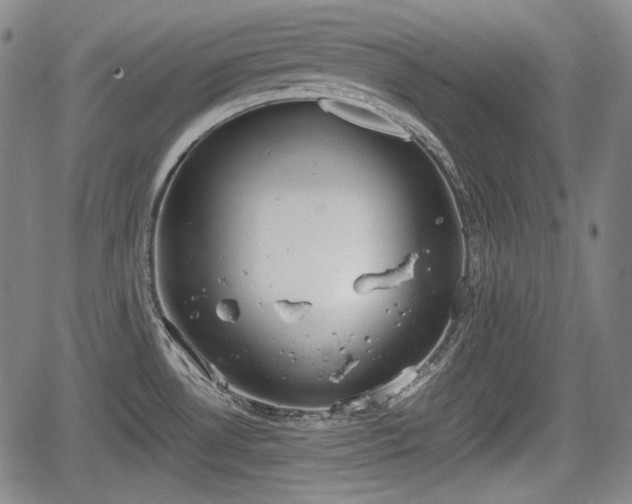 X0000064751530200602131214