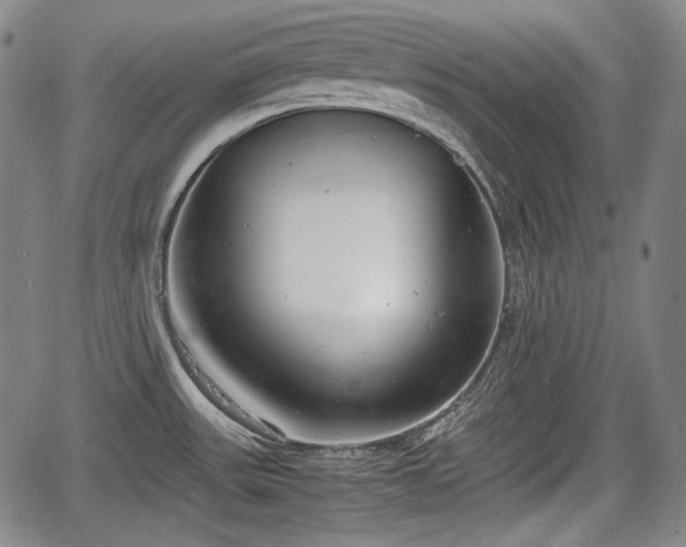 X0000064751531200602131214