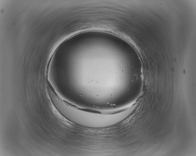 X0000064751532200602131214