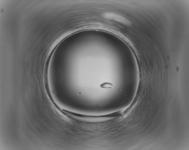 X0000064751533200602131214