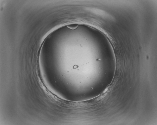 X0000064751534200602131214