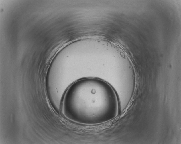 X0000064750001200602171745