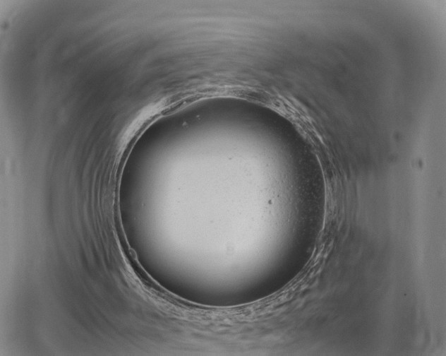 X0000064750003200602171745