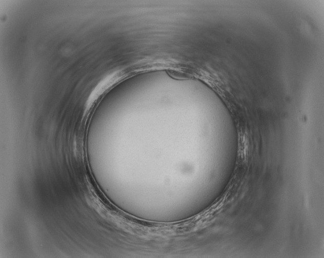 X0000064750004200602171745