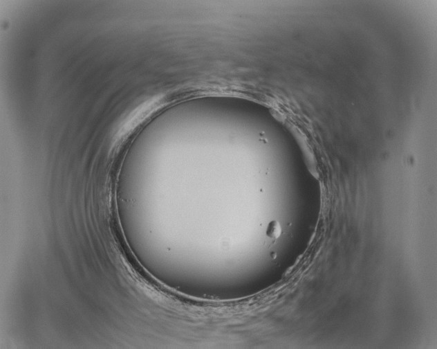 X0000064750005200602171745