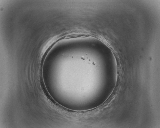 X0000064750007200602171745