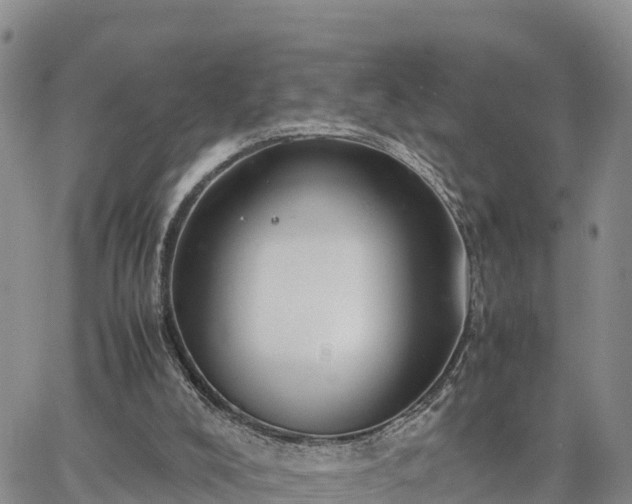 X0000064750008200602171745