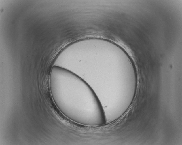 X0000064750009200602171745