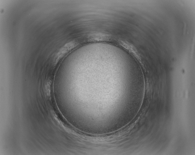 X0000064750010200602171745